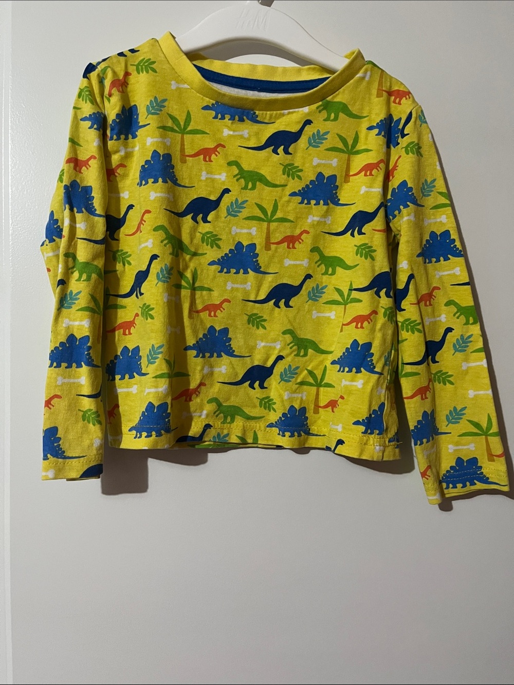 Kids' Yellow Long-Sleeve Dinosaur Tee